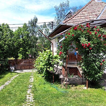 Casa De Vacanta Zsenik Vendeghaz Sovata Exterior photo