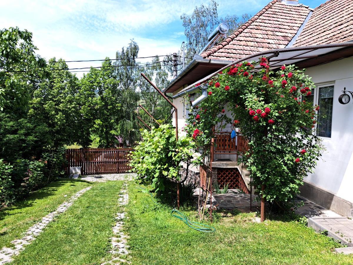 Casa De Vacanta Zsenik Vendeghaz Sovata Exterior photo